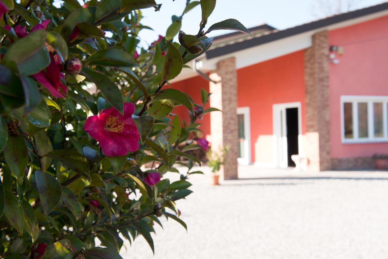Tenuta La Vigna Malgesso 外观 照片